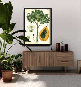 Retro plakát Starověké botanické tisk stromy papai