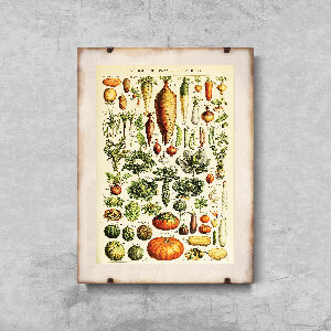 Retro plakát Adolphe Millot brambory