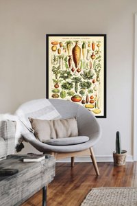 Retro plakát Adolphe Millot brambory