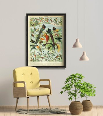 Plakát Adolphe Millot Birds.
