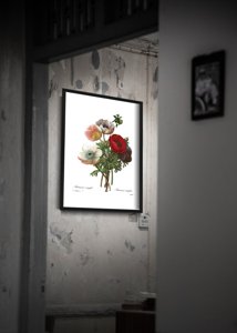 Plakát Květinový anomonský tisk