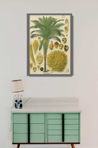 Plakát Botanický plakát s kokosovou dlaní