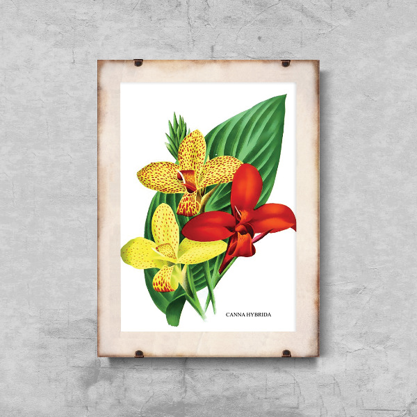 Plakát Květiny 1957.