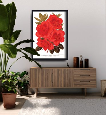 Plakát Rhododendron květ 1957.