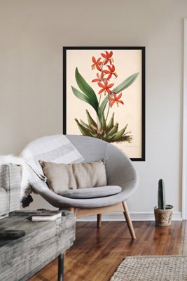 Plakát Květinový tisk Epidendrum Vitellinum