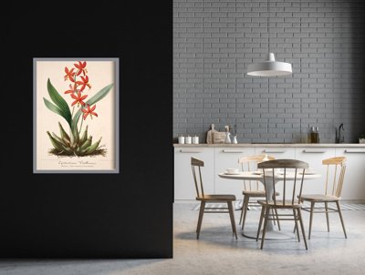 Plakát Květinový tisk Epidendrum Vitellinum