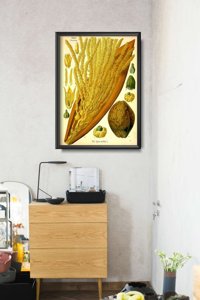 Dekorativní plakát Kokosová palma