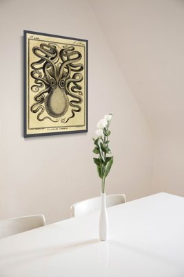 Dekorativní plakát Octopus Haeckel Ernst