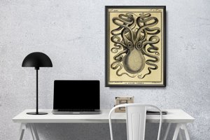 Dekorativní plakát Octopus Haeckel Ernst