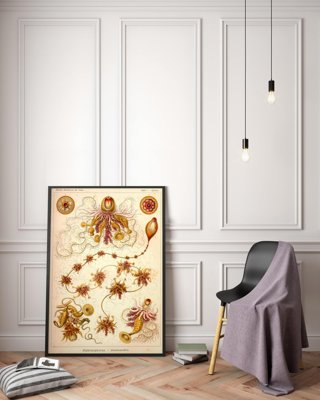Retro plakát Sifonophorae Ernst Haeckel