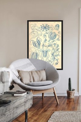 Retro plakát Ctenohorae Ernst Haeckel