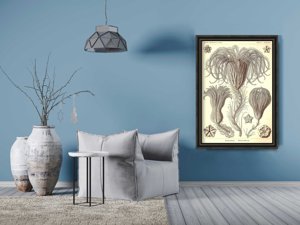 Retro plakát Crinoidea Ernst Haeckel