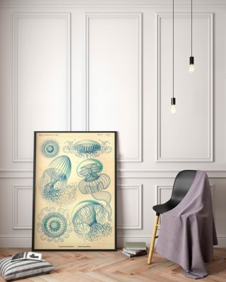 Plakát Medusa Ernst Haeckel