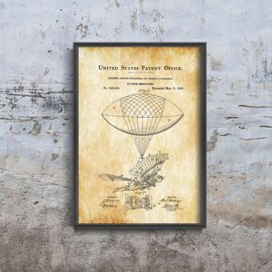 Dekorativní plakát Balón létající pták