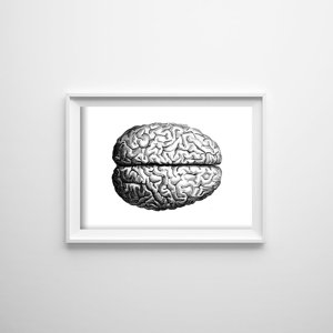 Retro plakát Anatomický mozek