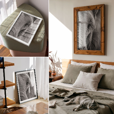 Plakát Sloní pohled