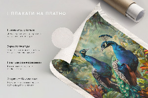 Plakát Severní polární záře