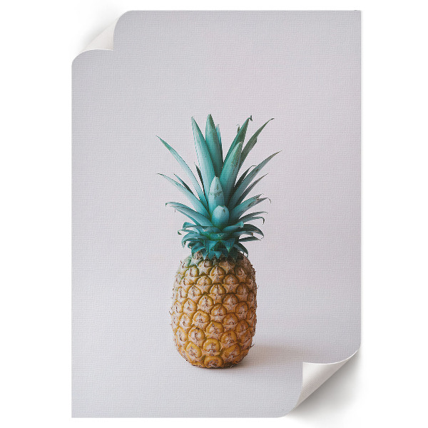 Dekorativní plakát Tropický ananas