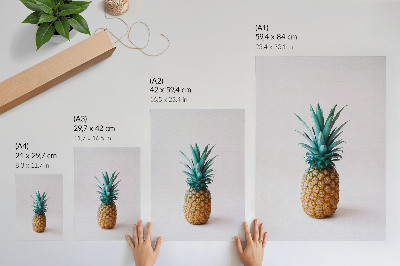 Dekorativní plakát Tropický ananas