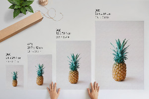 Dekorativní plakát Tropický ananas