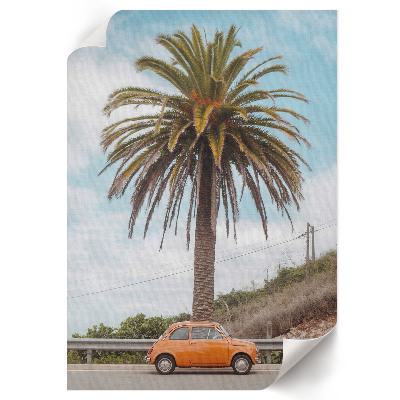 Plakát z fotky Retro palma