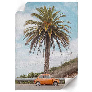 Plakát z fotky Retro palma