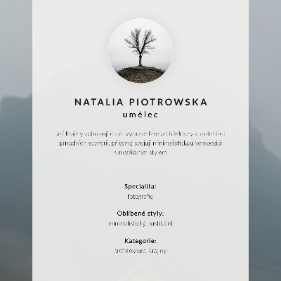 Plakát na zeď Mlžná krajina