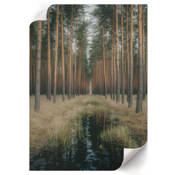 Plakát na zeď Lesní symetrie