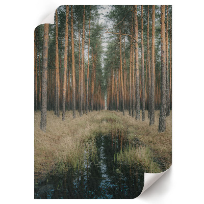 Plakát na zeď Lesní symetrie