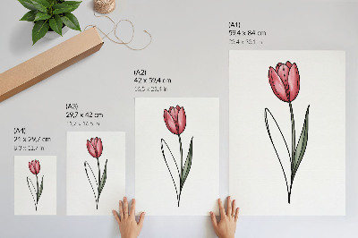 Plakát Růžový tulipán