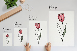 Plakát Růžový tulipán
