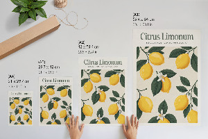 Plakát Citrus limonum