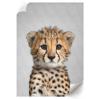 Dekorativní plakát Mladý gepard