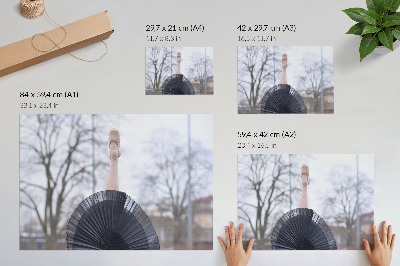 Dekorativní nástěnný plakát Elegantní balet