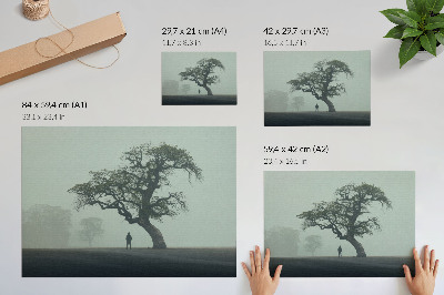 Dekorativní nástěnný plakát „Strom v mlze