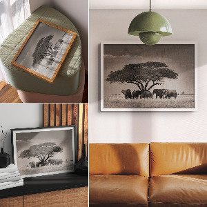 Prémiový nástěnný plakát Africká savana