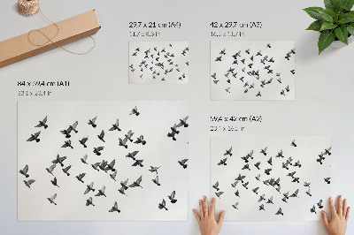 Plakát s texturou plátna ‚Létající ptáci‘