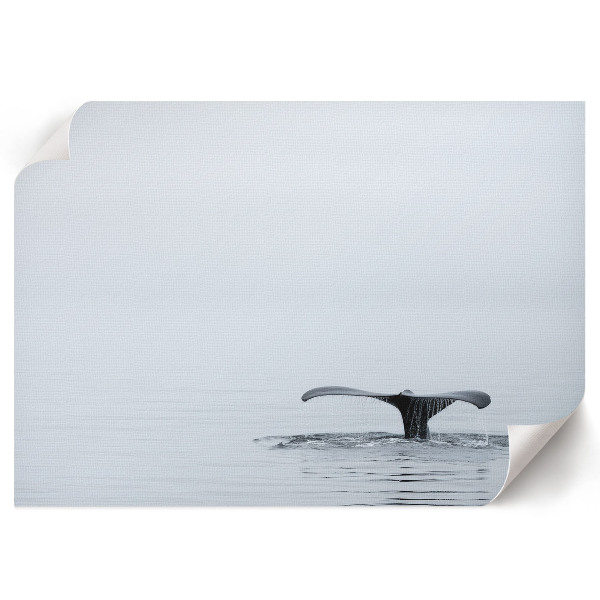 Dekorativní nástěnný plakát Oceánský klid