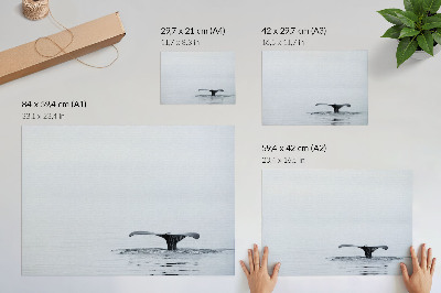 Dekorativní nástěnný plakát Oceánský klid
