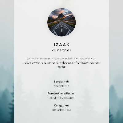 Dekorativní nástěnný plakát „Magická polární záře