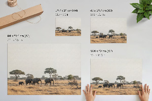 Dekorativní nástěnný plakát s motivem africké savany