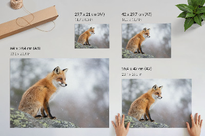 Plakát s texturou plátna s motivem lišky obecné