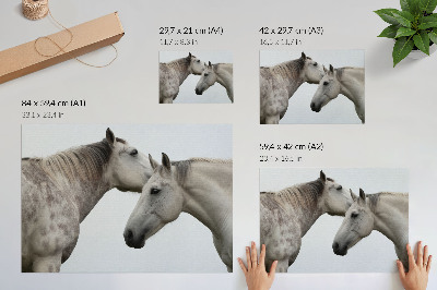 Plakát s texturou plátna „Koňská elegance”