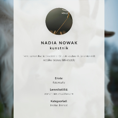 Prémiový nástěnný plakát Jelen na kopci