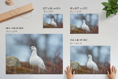 Dekorativní plakát se zimním motivem