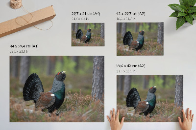Dekorativní nástěnný plakát „Pták v lese
