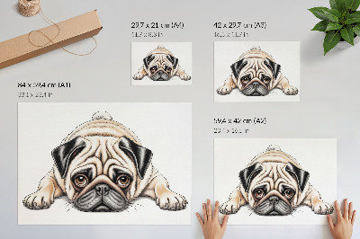Plakát s ilustrací mopse na textuře plátna
