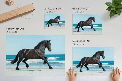 Plakát s texturou plátna „Cválající kůň”