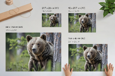 Plakát s texturou plátna „Medvěd v lese“