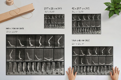 Dekorativní nástěnný plakát Muž v náručí